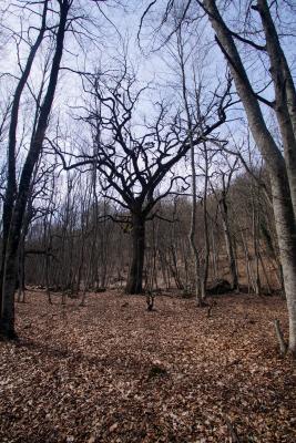 Прикрепленное изображение: A58DSC08028.jpg